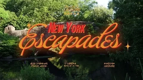 SEXY NEW YORK VLOG ft. Peachyneesh | Cheekymz